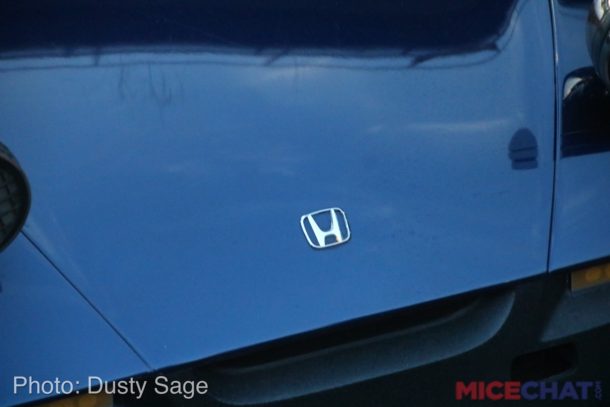 , Disneyland Update – Honk If You Love Autopia