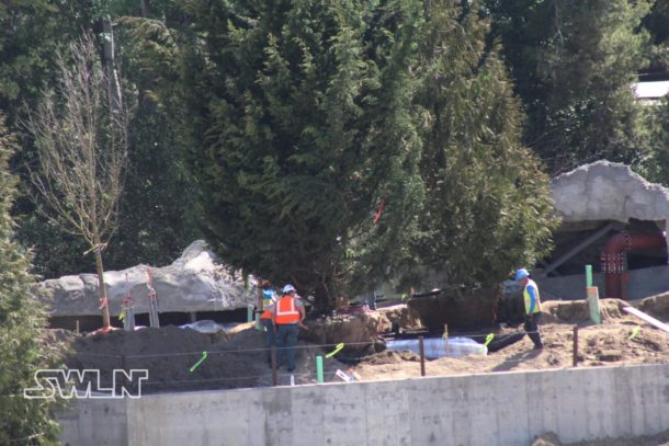 , Star Wars Land News: Indy, Rebels and Walkers! Oh, my!