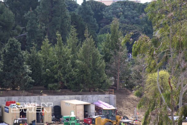 , Star Wars Land News: Will MaxPass Lock You Out?