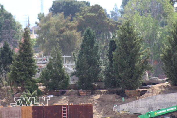 , Star Wars Land News: Will MaxPass Lock You Out?