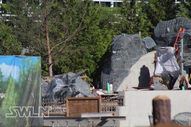 , Star Wars Land News: Star Wars Upcharge?