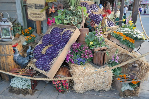 , Have a Berry Good Time at Knott’s Boysenberry Festival