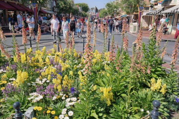 , Disneyland Photo Update: Wifi Coming Soon