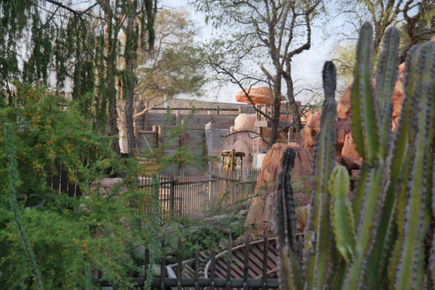 , Disneyland Photo Update: Wifi Coming Soon