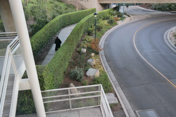 , Disneyland Photo Update: Wifi Coming Soon