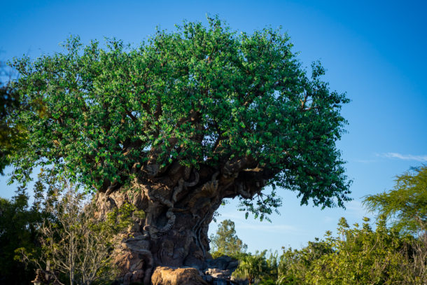 , One Month to Pandora at Disney&#8217;s Animal Kingdom