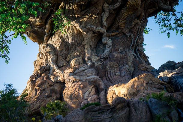 , One Month to Pandora at Disney&#8217;s Animal Kingdom