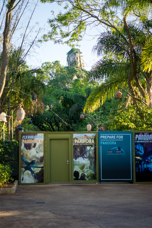 , One Month to Pandora at Disney&#8217;s Animal Kingdom