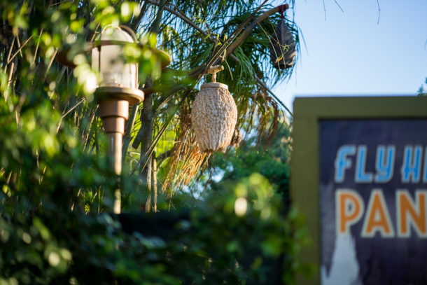 , One Month to Pandora at Disney&#8217;s Animal Kingdom