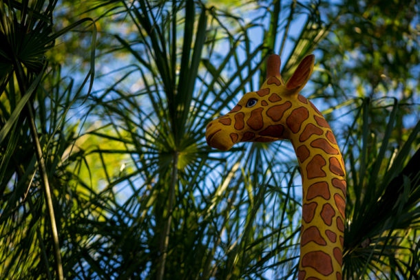 , One Month to Pandora at Disney’s Animal Kingdom