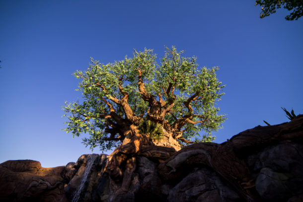 , One Month to Pandora at Disney&#8217;s Animal Kingdom