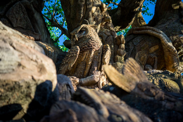 , One Month to Pandora at Disney&#8217;s Animal Kingdom