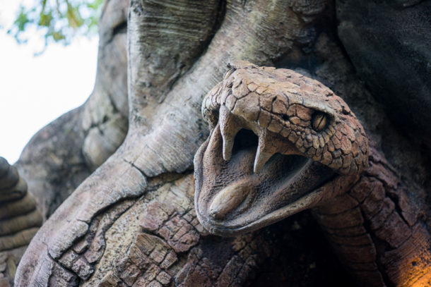 , One Month to Pandora at Disney&#8217;s Animal Kingdom