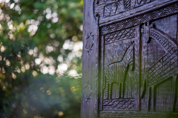, One Month to Pandora at Disney’s Animal Kingdom