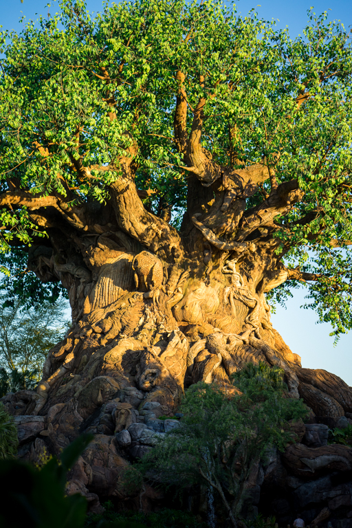 , One Month to Pandora at Disney’s Animal Kingdom