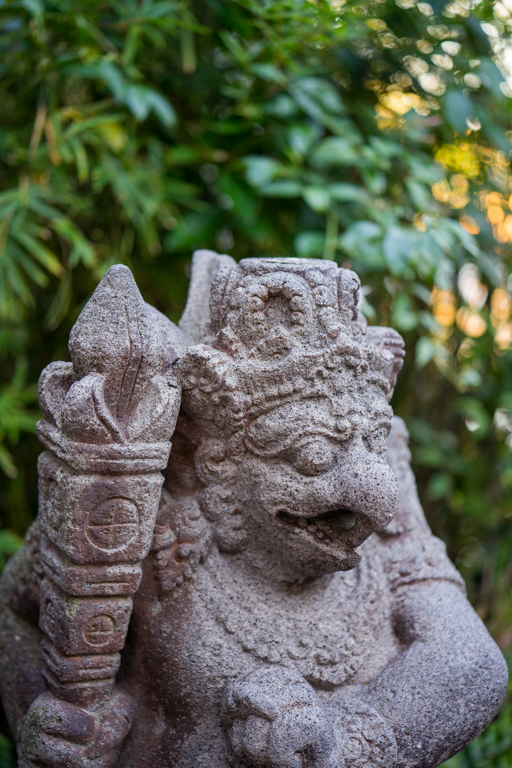 , One Month to Pandora at Disney’s Animal Kingdom