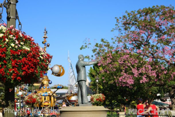 , Disneyland Photo Update – You Are Clear For Launch