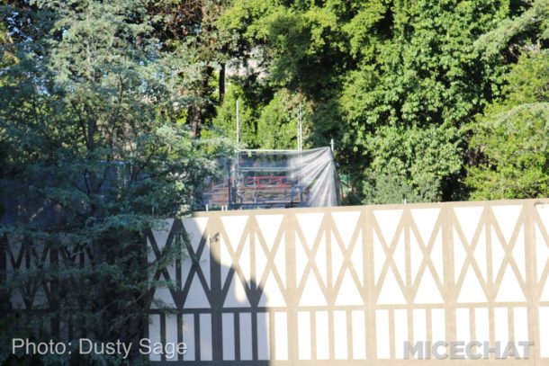 , Disneyland Photo Update – You Are Clear For Launch