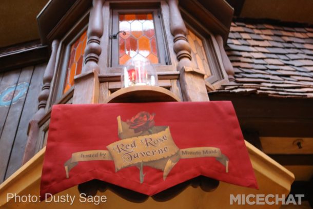 , Disneyland Photo Update – You Are Clear For Launch
