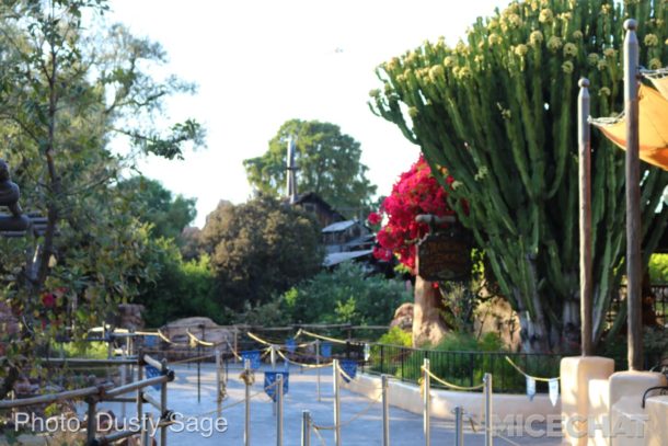 , Disneyland Photo Update – You Are Clear For Launch