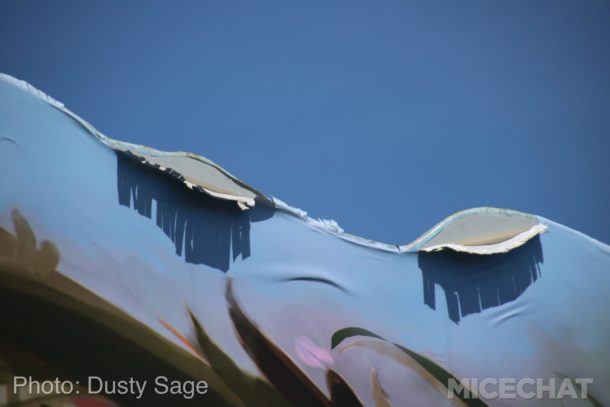 , DCA Photo Update – Dropping In and Dropping Out