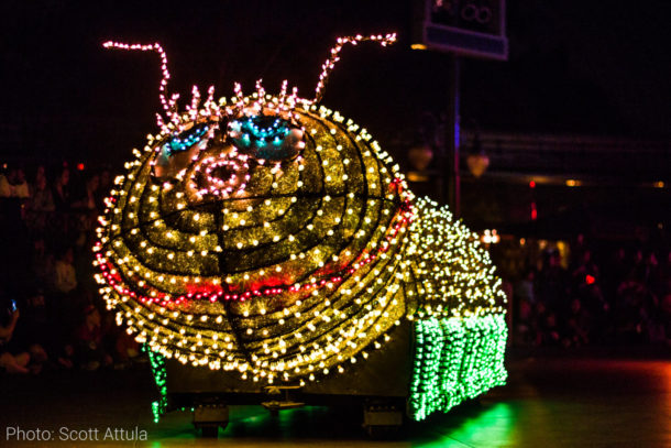 , Disneyland Update: The Bunny Hop