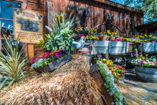 , Have a Berry Good Time at Knott&rsquo;s Boysenberry Festival