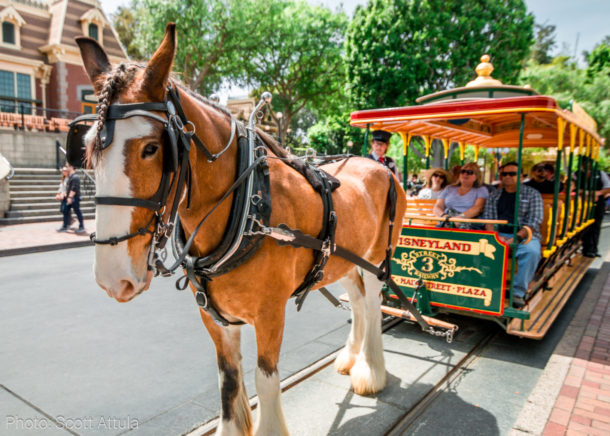 , Disneyland Update – April Surprise