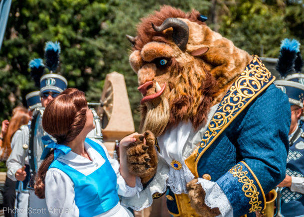, Photographing Disneyland: What’s in My Camera Bag?