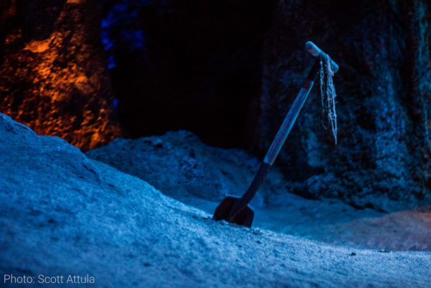 , Disneyland Update – April Surprise