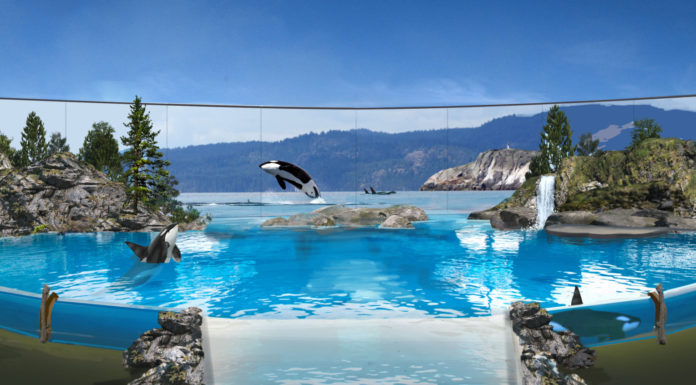 Breaking News: SeaWorld Reduces Staff by 90% & Extends Park Closures