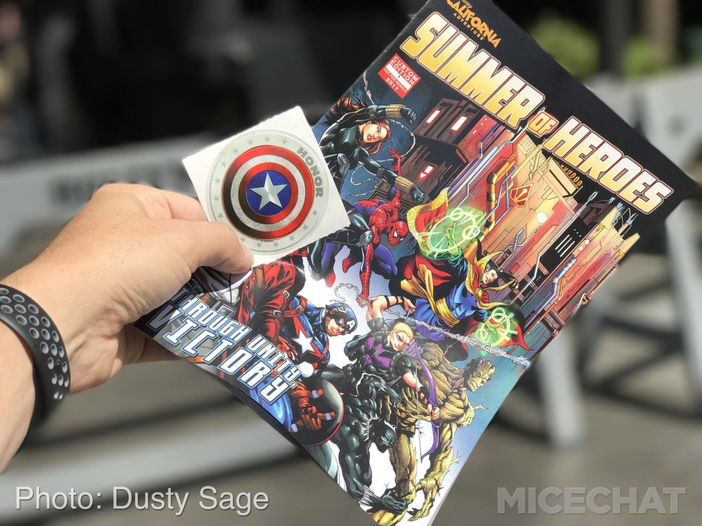 , Disneyland Year In Review 2017 – Part 1 – Dropping Out and Dropping In