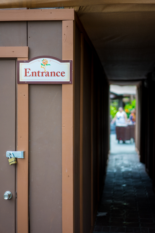 , Dateline Disney World – Refurbishment Kingdom