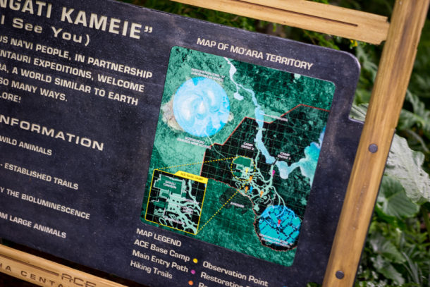 , Dateline Disney World: More Photos from The World of Avatar