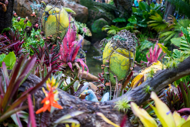 , Dateline Disney World: More Photos from The World of Avatar