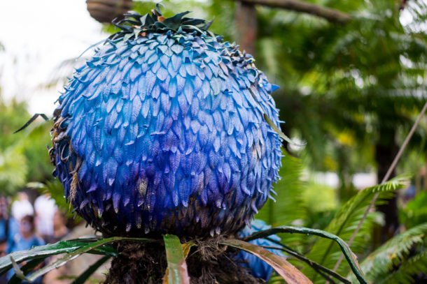 , Dateline Disney World: More Photos from The World of Avatar