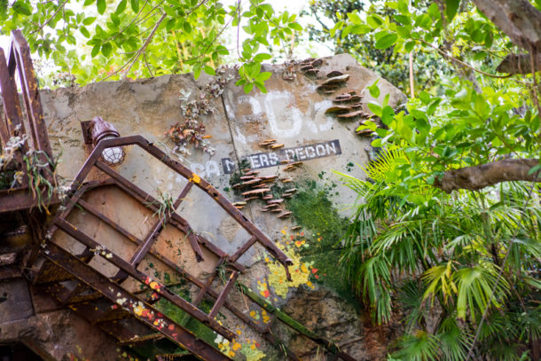 , Dateline Disney World: More Photos from The World of Avatar
