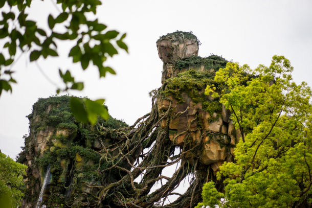 , Dateline Disney World: More Photos from The World of Avatar