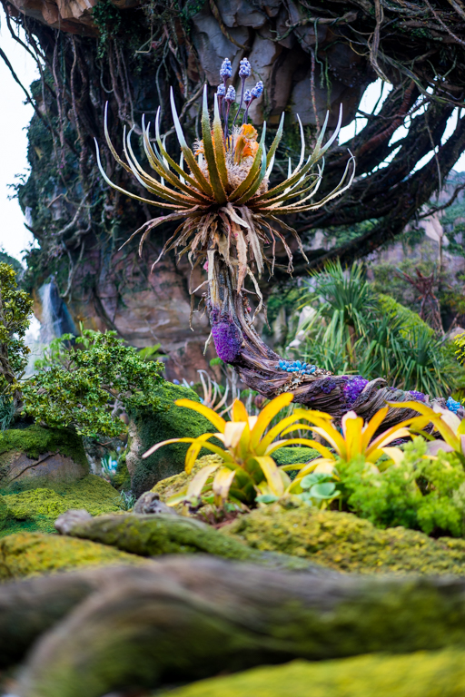 , Dateline Disney World: More Photos from The World of Avatar