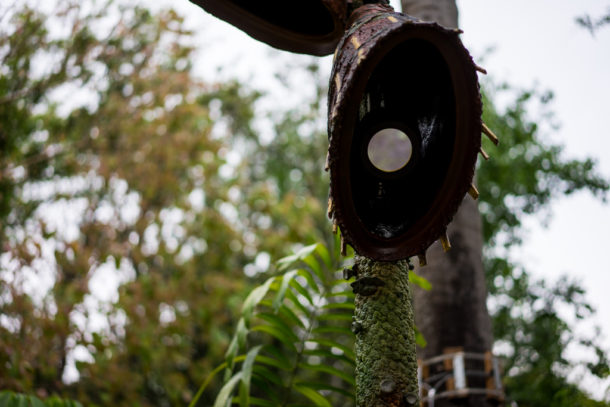 , Dateline Disney World: More Photos from The World of Avatar