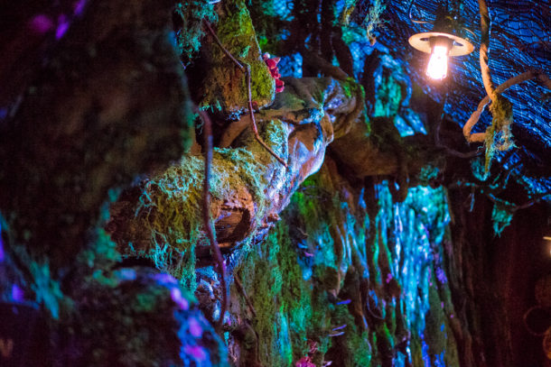 , Dateline Disney World: More Photos from The World of Avatar