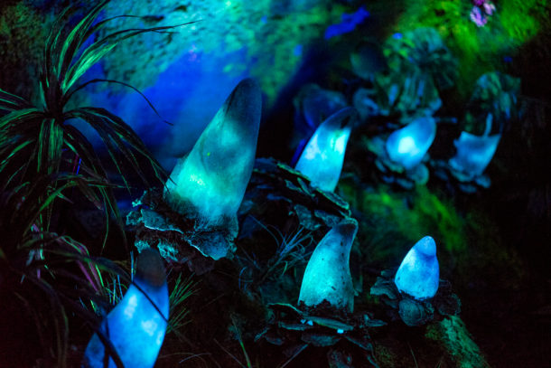 , Dateline Disney World: More Photos from The World of Avatar