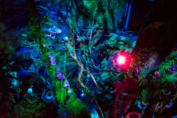 , Dateline Disney World: More Photos from The World of Avatar