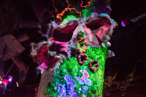 , Dateline Disney World: More Photos from The World of Avatar