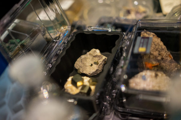 , Dateline Disney World: More Photos from The World of Avatar