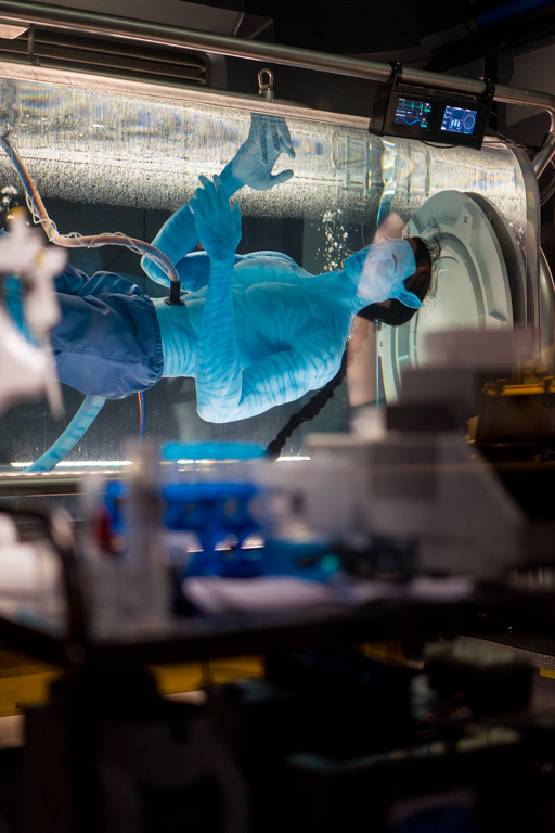 , Dateline Disney World: More Photos from The World of Avatar