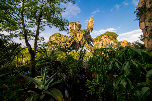 , Dateline Disney World: More Photos from The World of Avatar