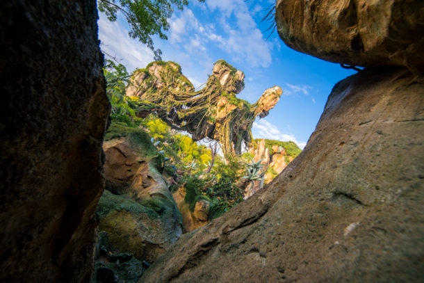, Dateline Disney World: More Photos from The World of Avatar