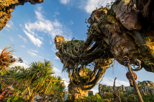 , Dateline Disney World: More Photos from The World of Avatar