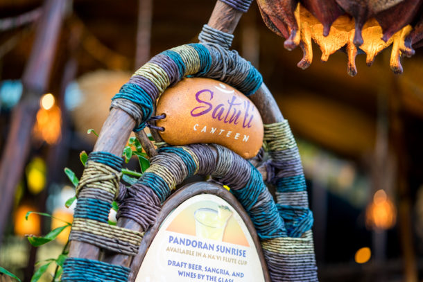 , Dateline Disney World: More Photos from The World of Avatar